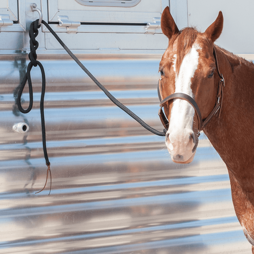 Classic Equine Rope Powder Holder