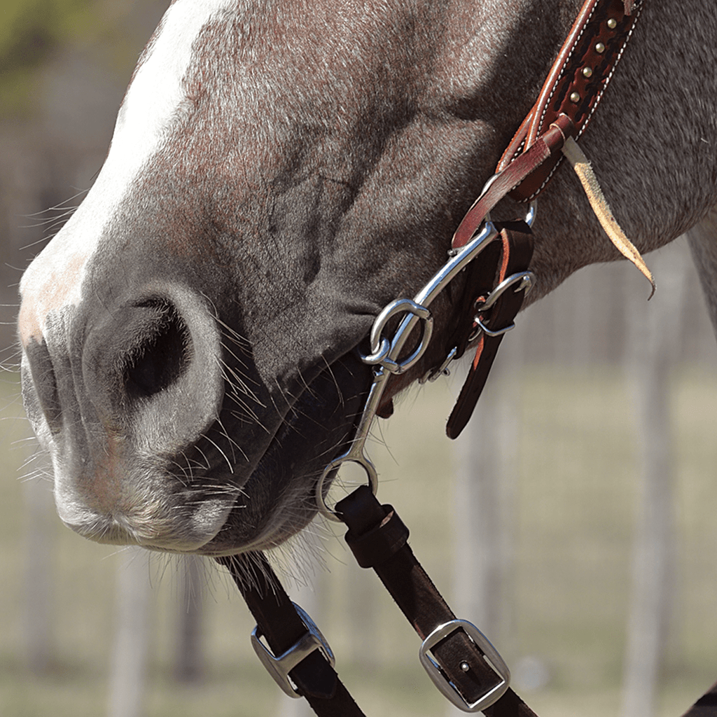 Punchy Phone Cases – Buckin' Bronc Saloon