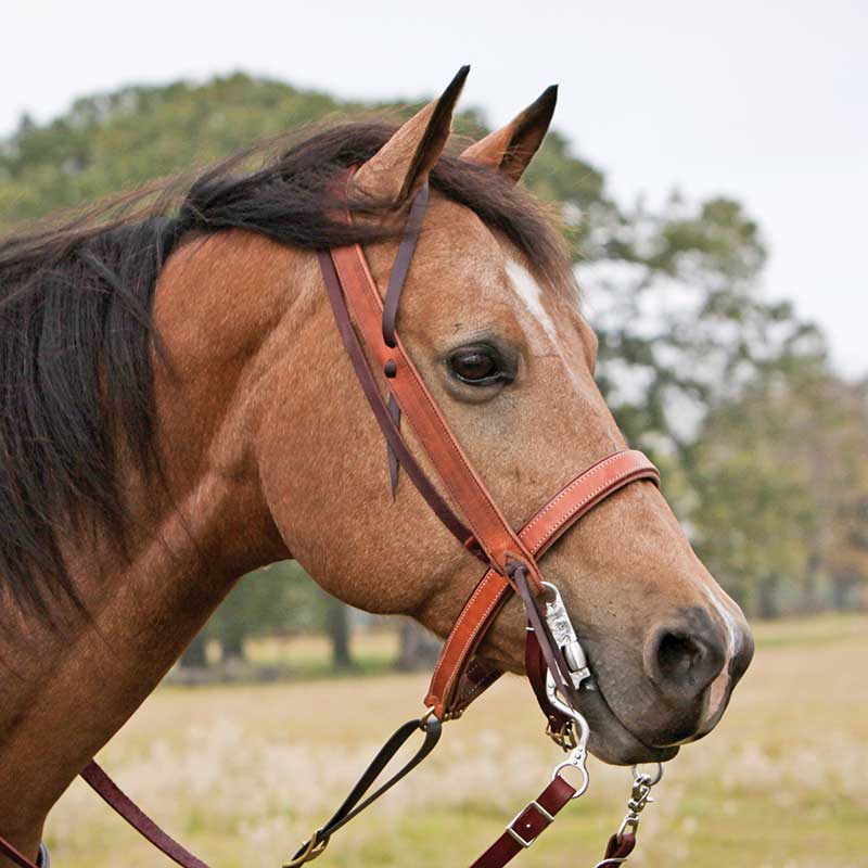 Team Golf Golf Bag Stand Hauler Cowboys Bucking Horse