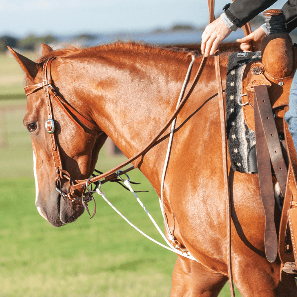 Team Golf Golf Bag Stand Hauler Cowboys Bucking Horse