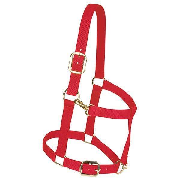 Weaver Large Draft Nylon Adjustable Halter – Hay River Tack and Supplies