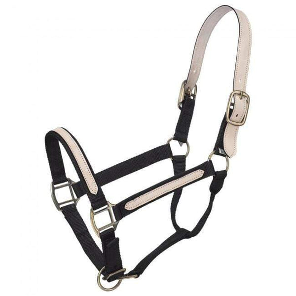 Cashel Flat Braid Bronc Halter