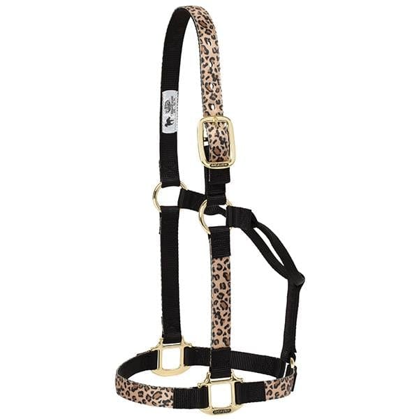 Cashel Flat Braid Bronc Halter